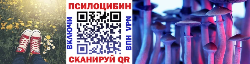 Псилоцибиновые грибы MAGIC MUSHROOMS  Купить где  Далматово 